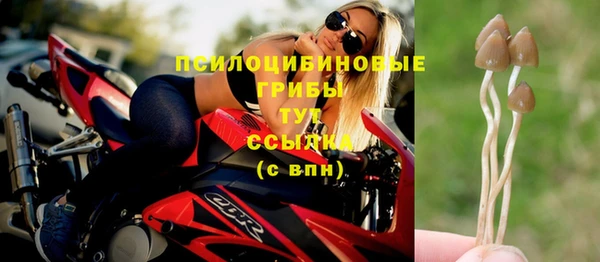 прущие крисы Анива
