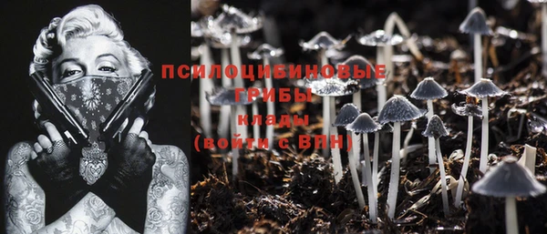 винт Мегион