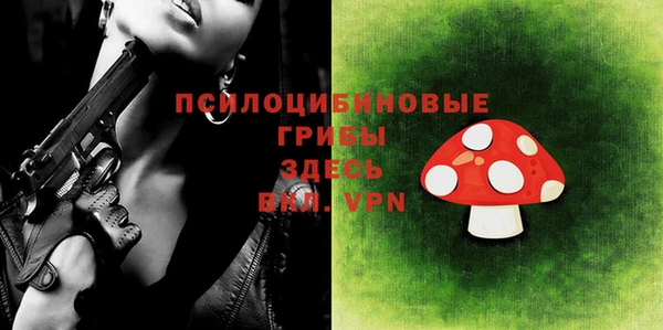 меф Медвежьегорск