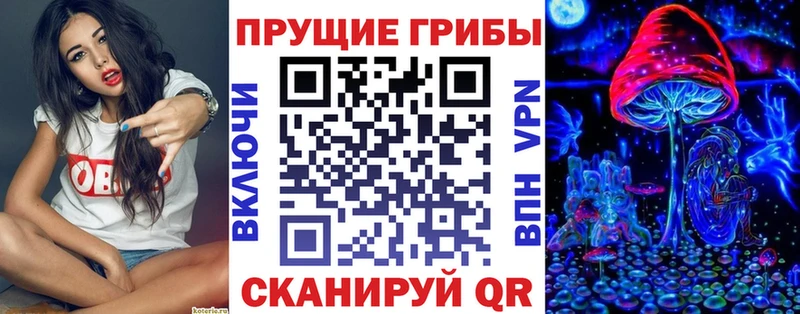 где найти   Черепаново  Псилоцибиновые грибы мухоморы 